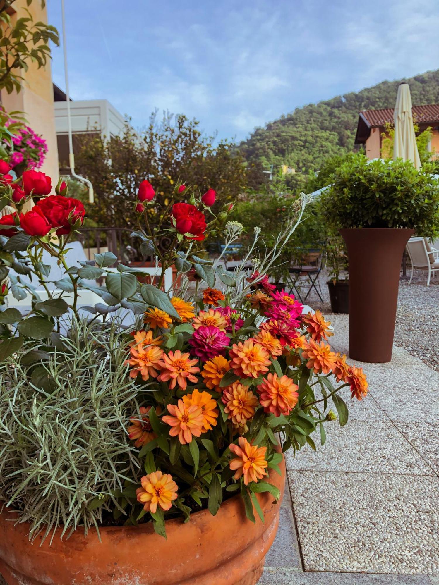 Hotel Antica Stallera Cannobio Zewnętrze zdjęcie